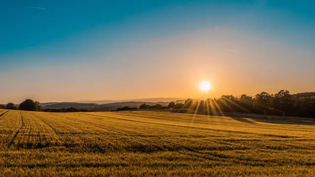 North Wales agricultural holding